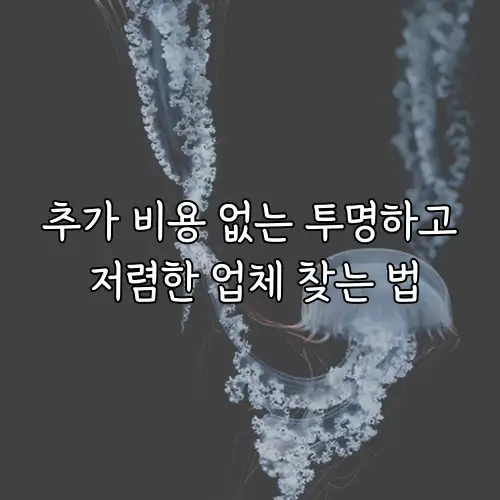 추가 비용 없는 투명하고 저렴한 업체 찾는 법