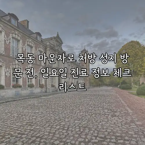 목동 마운자로 처방 성지 방문 전, 일요일 진료 정보 체크리스트