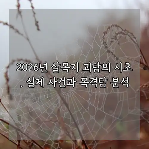 2026년 살목지 괴담의 시초, 실제 사건과 목격담 분석