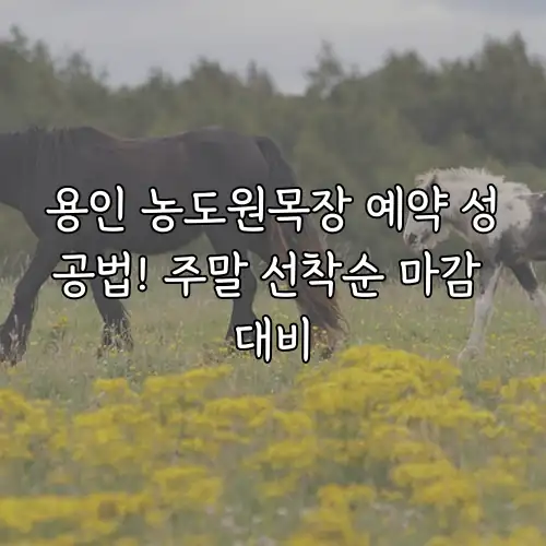 용인 농도원목장 예약 성공법! 주말 선착순 마감 대비