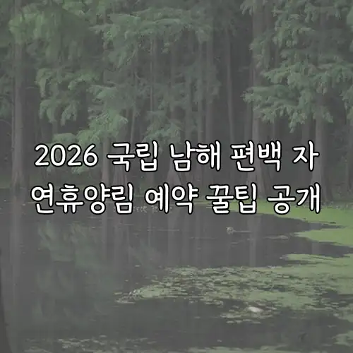 2026 국립 남해 편백 자연휴양림 예약 꿀팁 공개