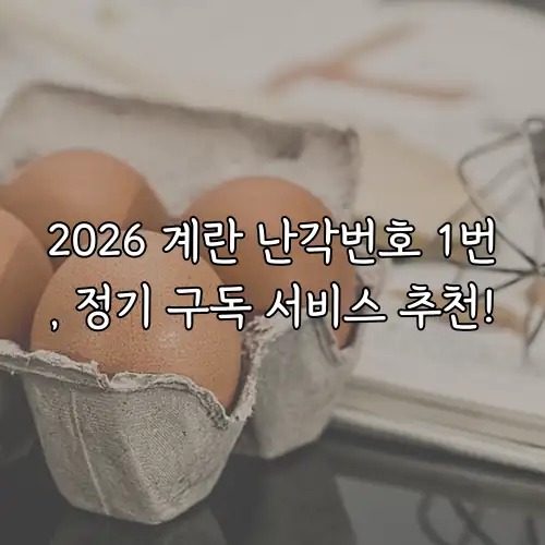 2026 계란 난각번호 1번, 정기 구독 서비스 추천!