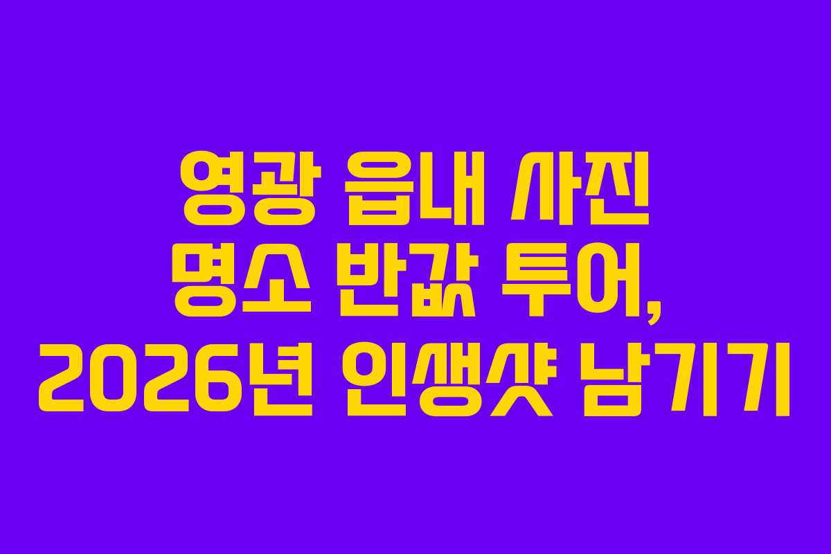 영광 읍내 사진 명소 반값 투어, 2026년 인생샷 남기기