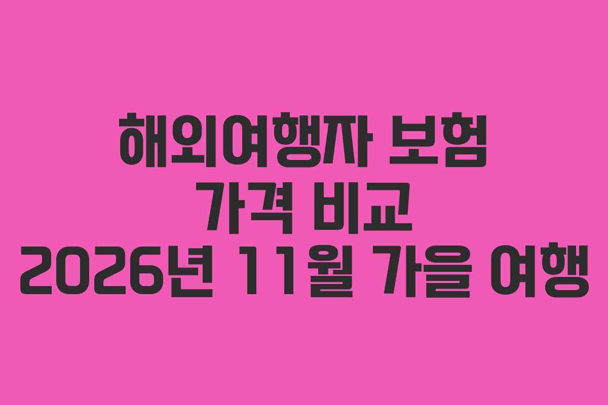 해외여행자-보험-가격-비교-2026년-11월-가을-여행