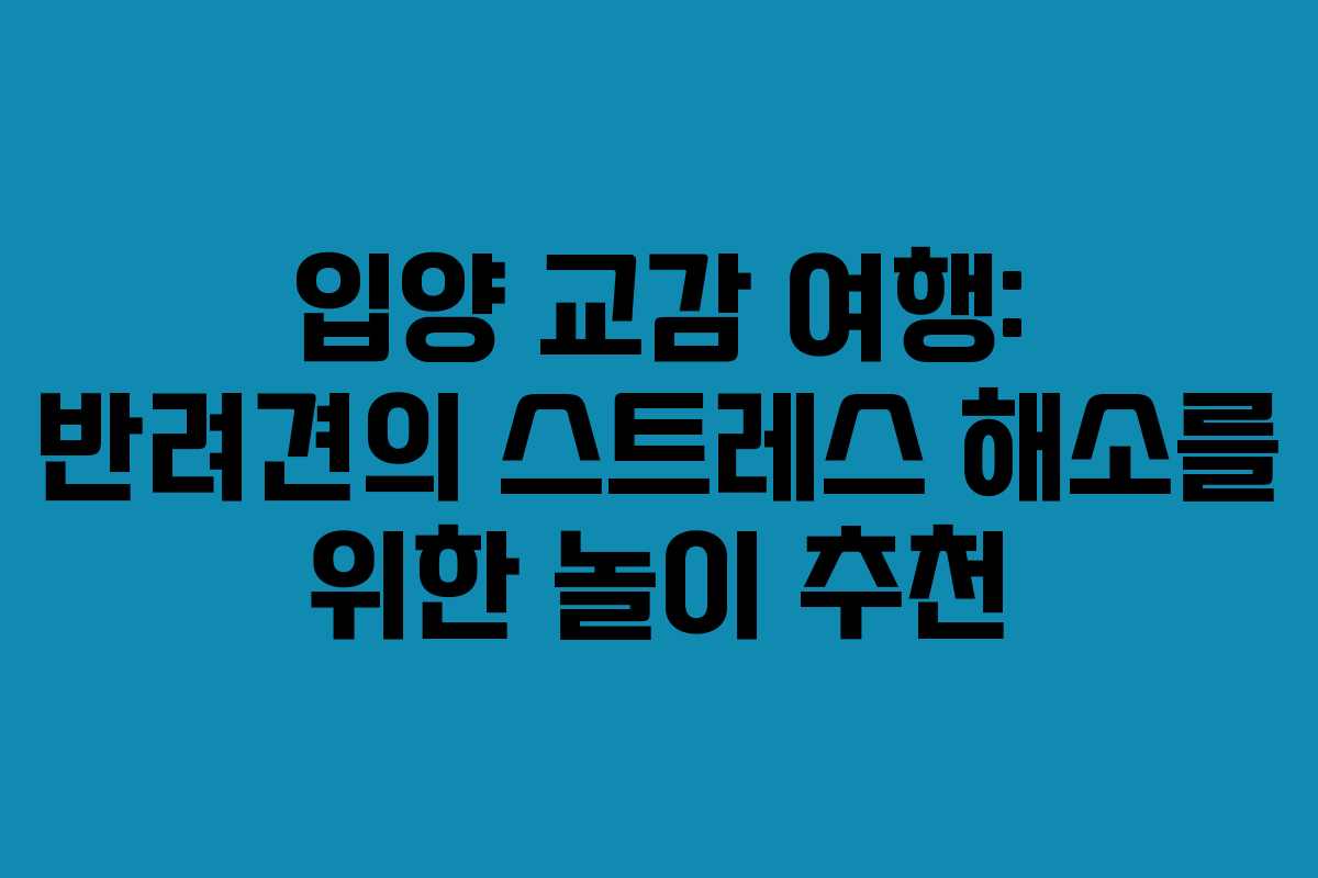 입양-교감-여행-반려견의-스트레스-해소를-위한-놀이-추천