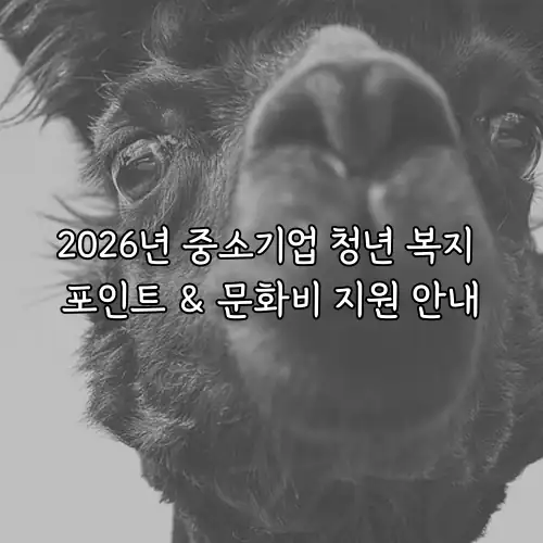 2026년 중소기업 청년 복지 포인트 & 문화비 지원 안내
