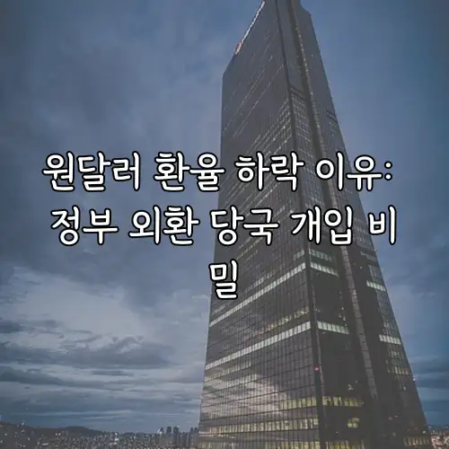 원달러 환율 하락 이유: 정부 외환 당국 개입 비밀