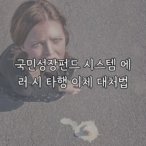 국민성장펀드 시스템 에러 시 타행 이체 대처법