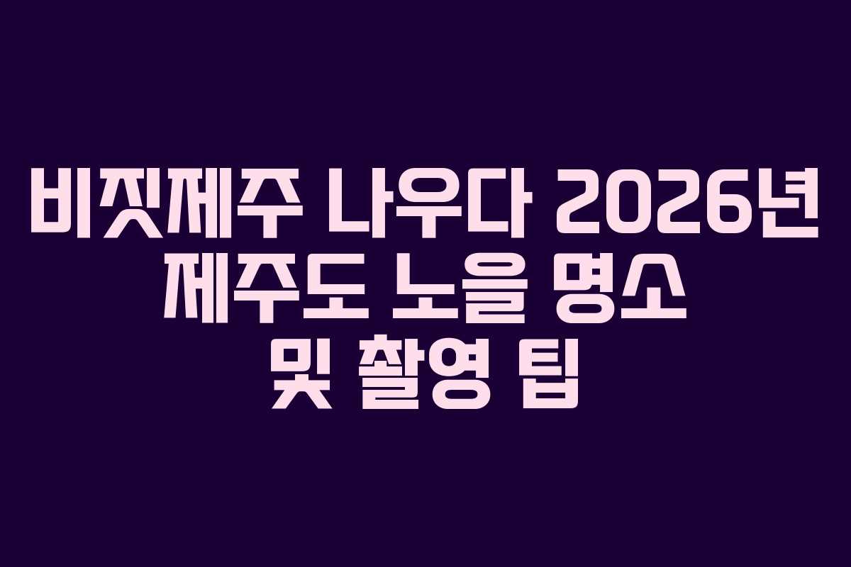 비짓제주-나우다-2026년-제주도-노을-명소-및-촬영-팁