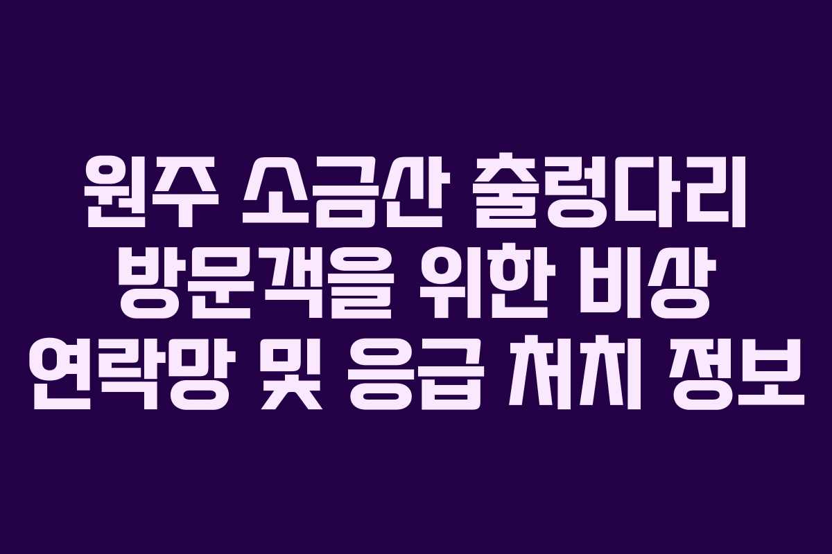 원주-소금산-출렁다리-방문객을-위한-비상-연락망-및-응급-처치-정보
