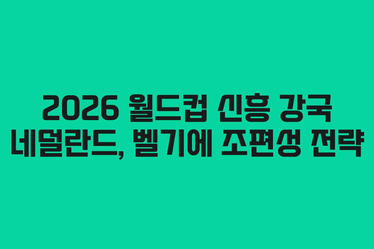 2026-월드컵-신흥-강국-네덜란드,-벨기에-조편성-전략