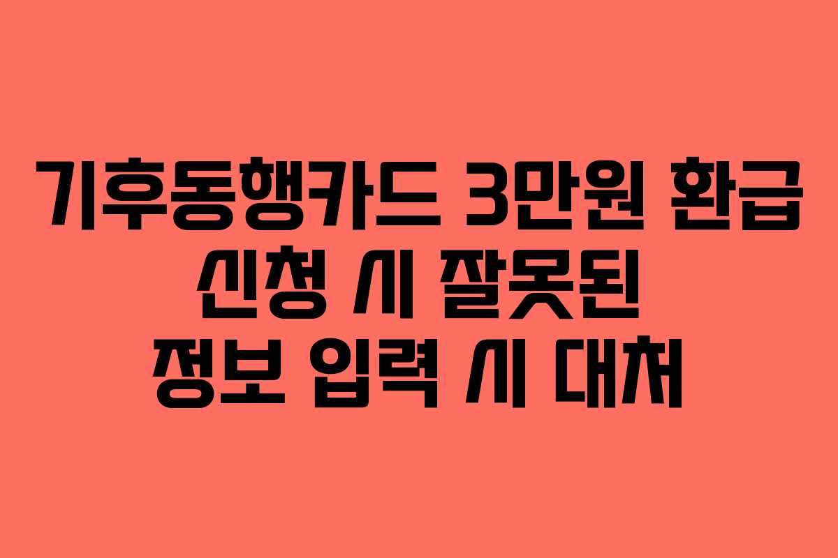 기후동행카드-3만원-환급-신청-시-잘못된-정보-입력-시-대처