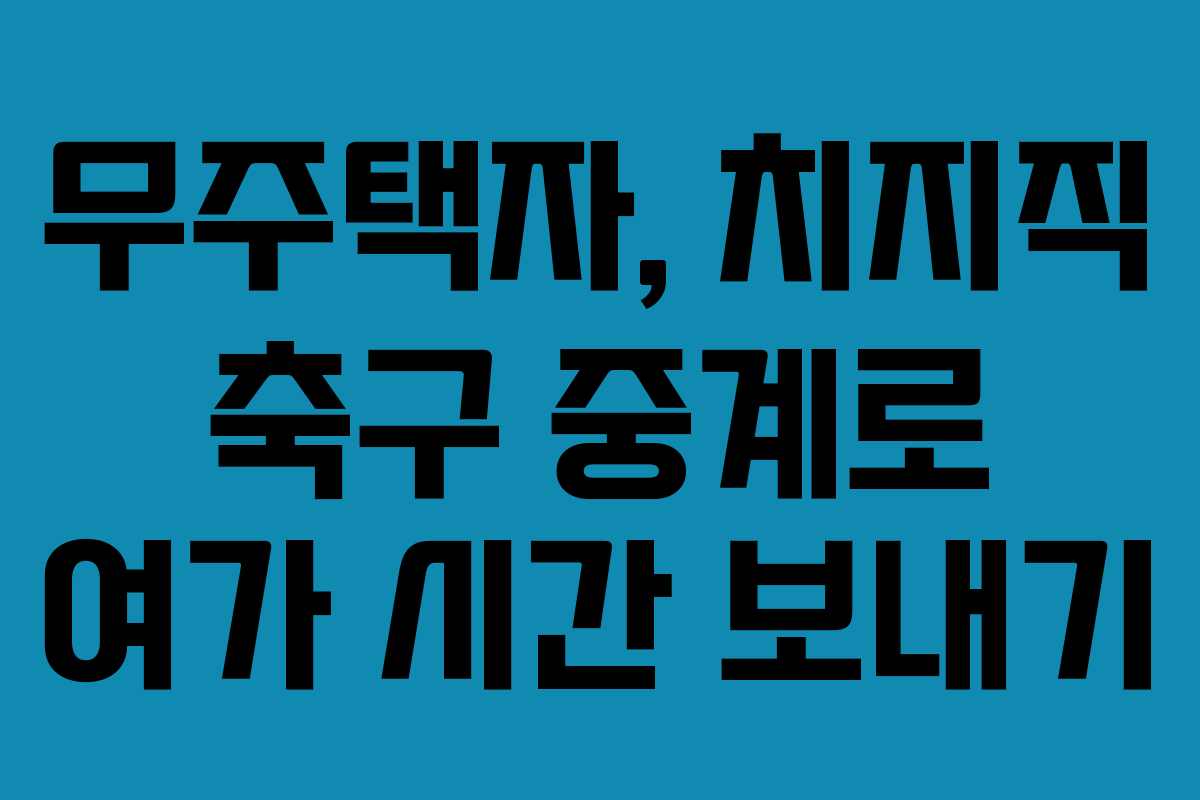 무주택자,-치지직-축구-중계로-여가-시간-보내기