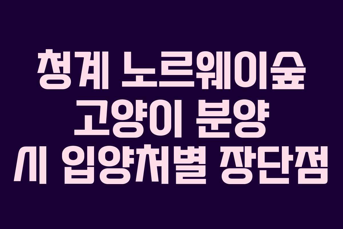 청계-노르웨이숲-고양이-분양-시-입양처별-장단점