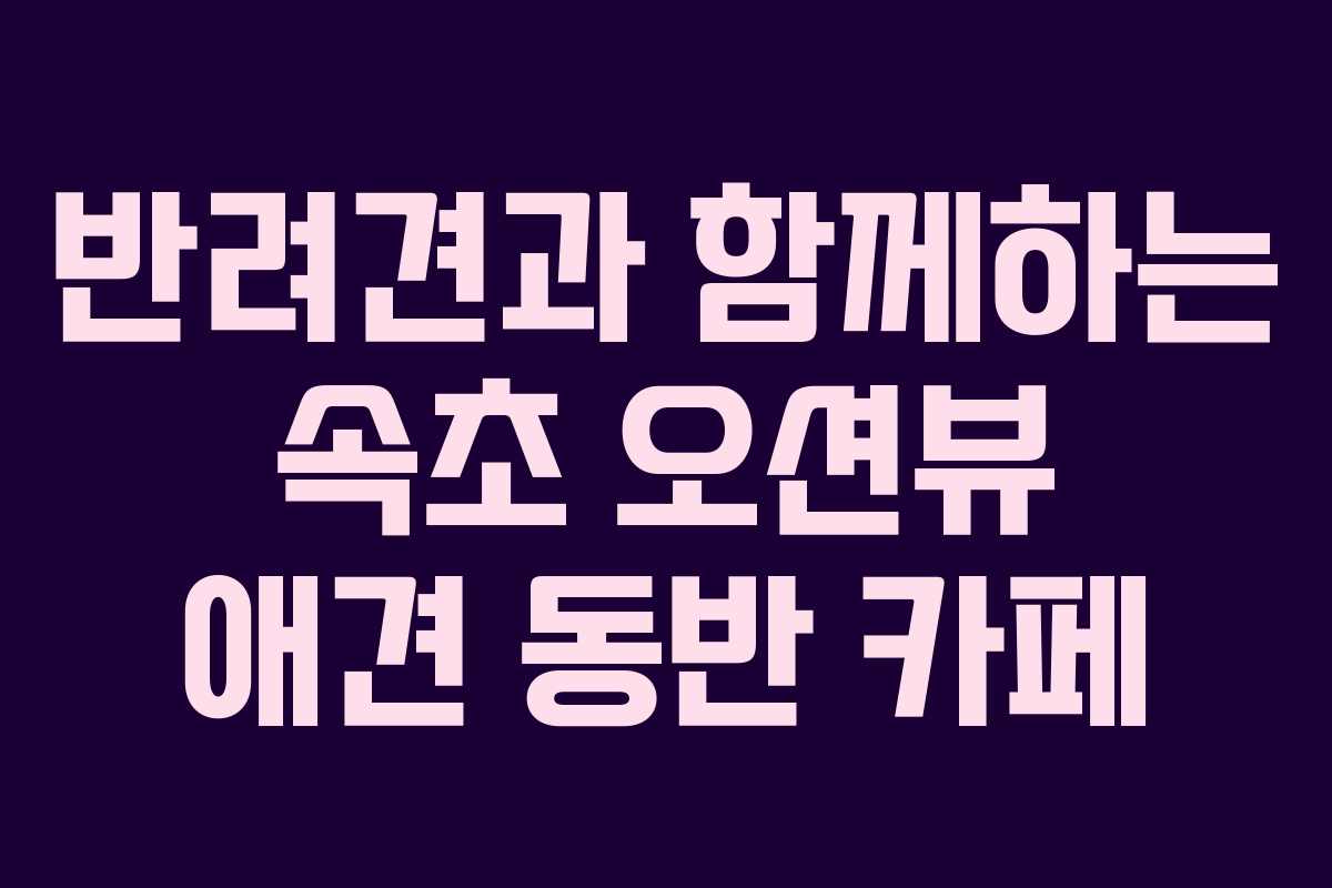 반려견과-함께하는-속초-오션뷰-애견-동반-카페