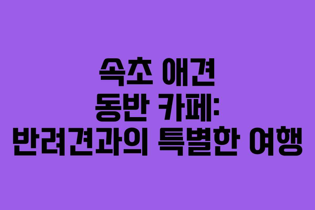 속초-애견-동반-카페-반려견과의-특별한-여행